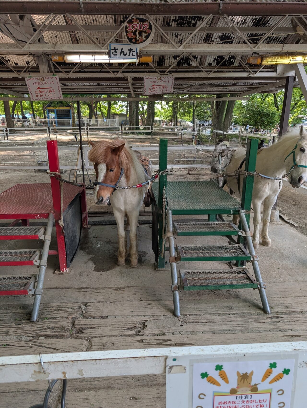 むさしの村　乗馬